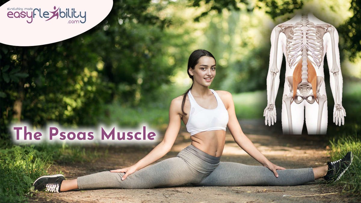 7 BEST Psoas Stretches to Release Tightness (PDF Included!) - Coach Sofia  Fitness