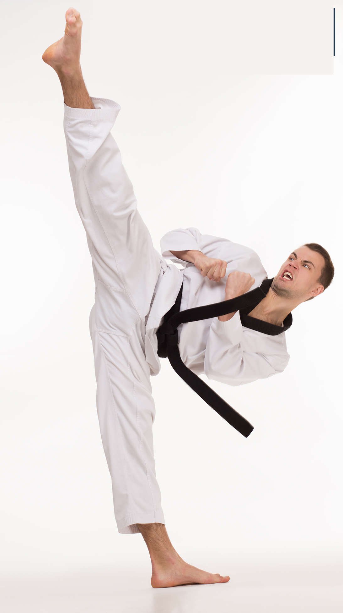 Crazystore Taekwondo Kick-Zielscheibe Train #SF Boxen Karate-Fuß-Zielscheibe 