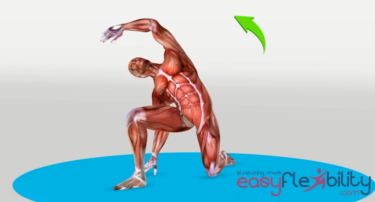 Hip Flexors Advanced Level – EasyFlexibility