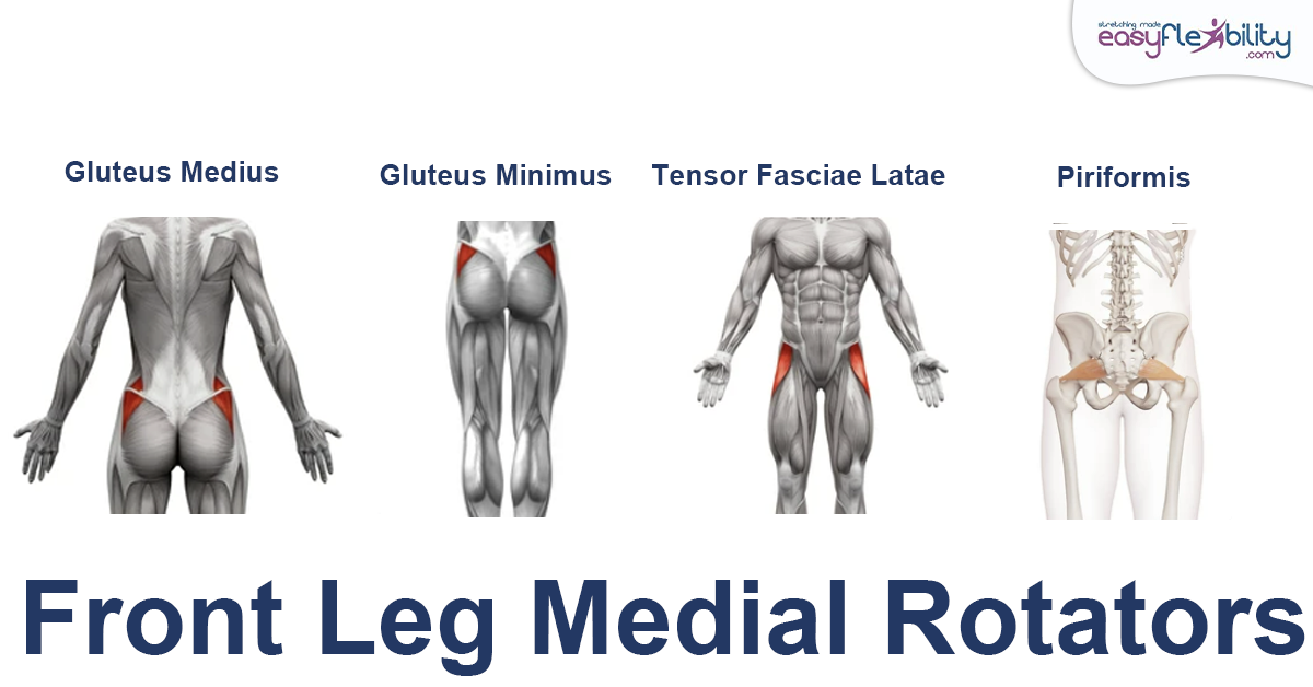 Front Leg Medial Rotators for King Pigeon Pose Muscle Anatomy 1200 x 628