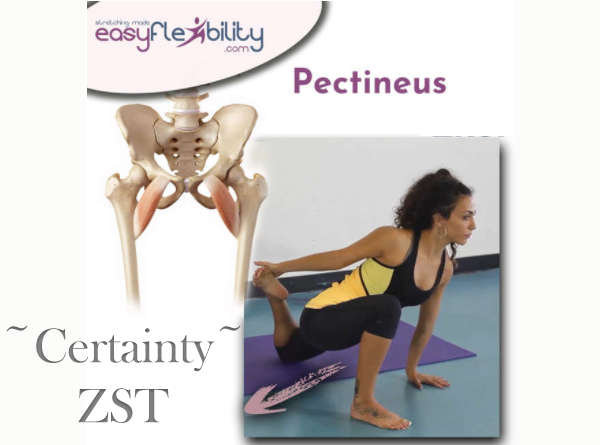 Knee Joint Integrity and Middle Splits