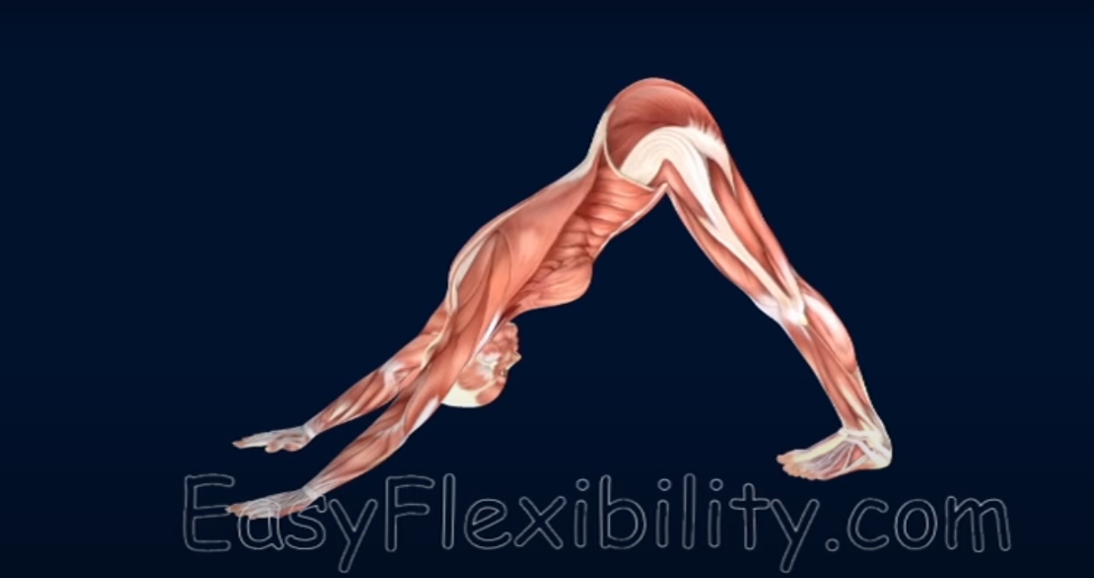 The Plow Pose - - EasyFlexibility For Pole Dance