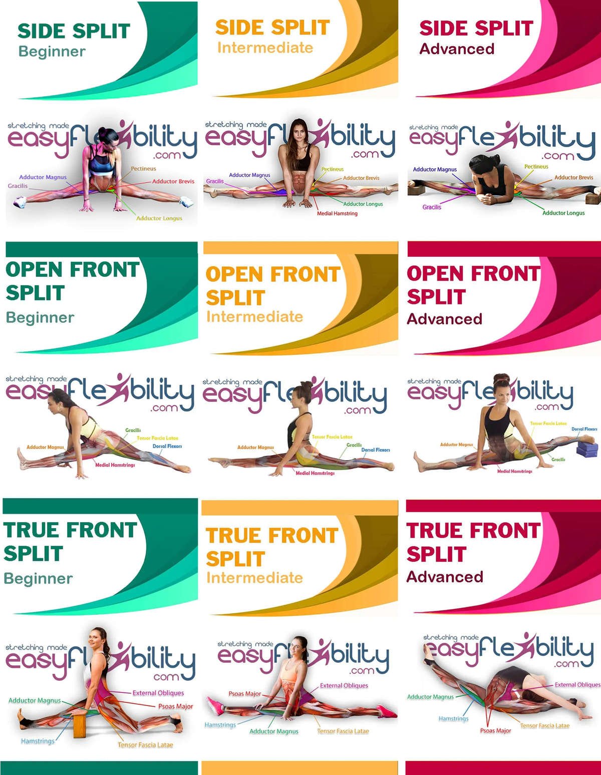 How to Do the Splits: Training Tips, Instructions, and Precautions