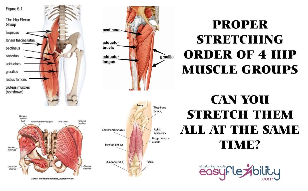 How to Fix Tight Hip Flexors (Don't Stretch!) - Precision Movement