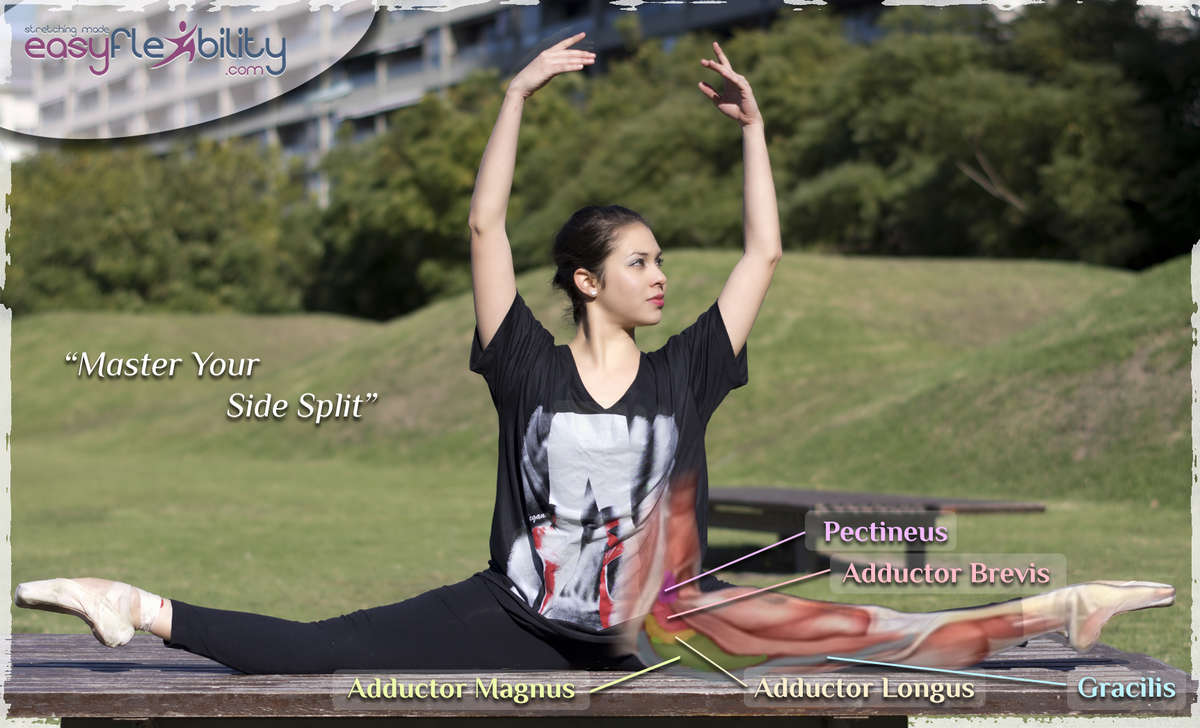 Woman doing yoga exercise called: Revolved Side Angle Pose, Sanskrit name:  Parivrtta Parsvakonasana Stock Photo - Alamy