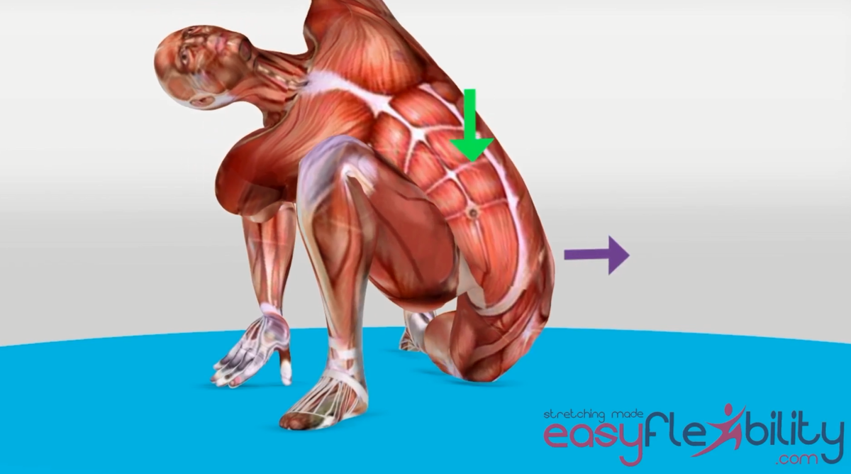 Hip Flexors Advanced Level – EasyFlexibility