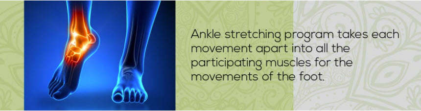 Foot and Ankle Flexibility – EasyFlexibility