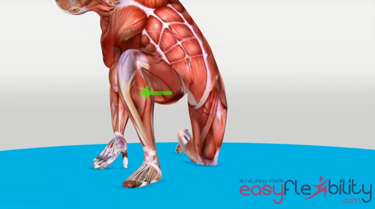 Hip Abduction With Flexion In Front Stretch - Video Guide