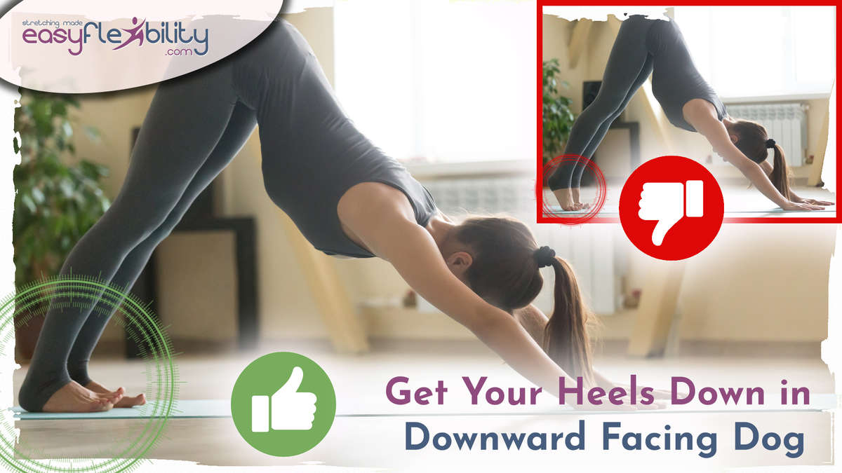 How to do Revolved Downward Dog – OmStars