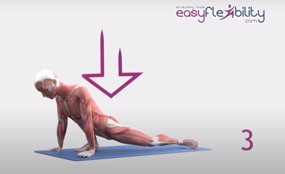 animated anatomical picture coming down the body moving hips to the floor