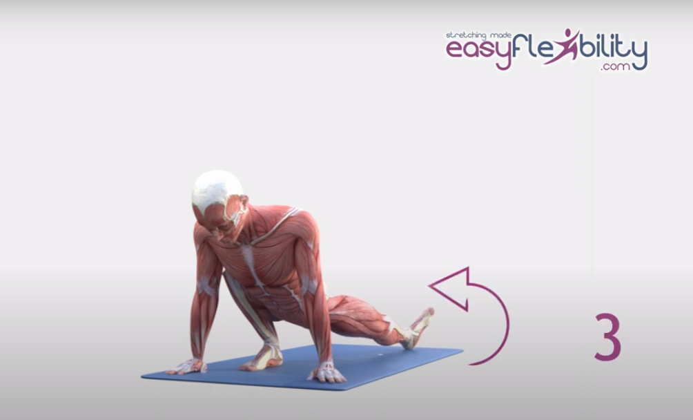 animated anatomical picture in lunge position with extended leg moving the foot