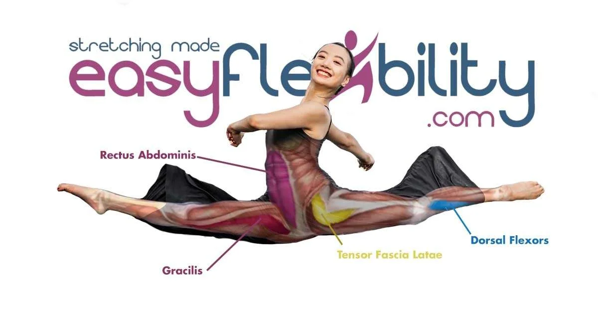 Front Split Variations in the (Turned out or Open) Front Split –  EasyFlexibility