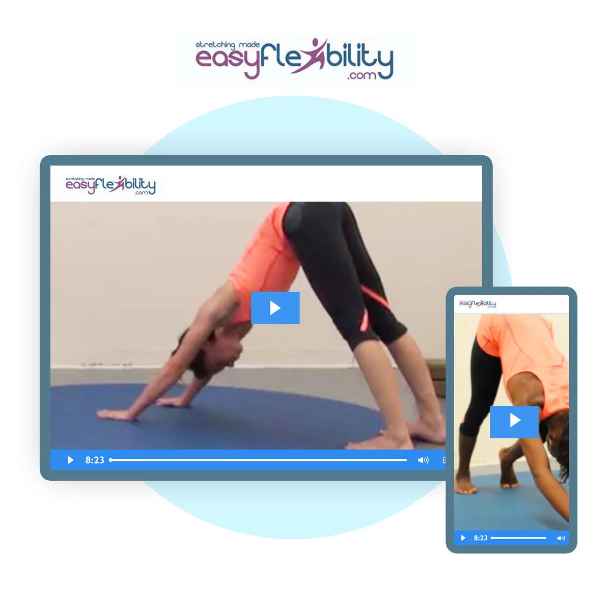 Forget downward facing dog - watch flexible yoga duo show off