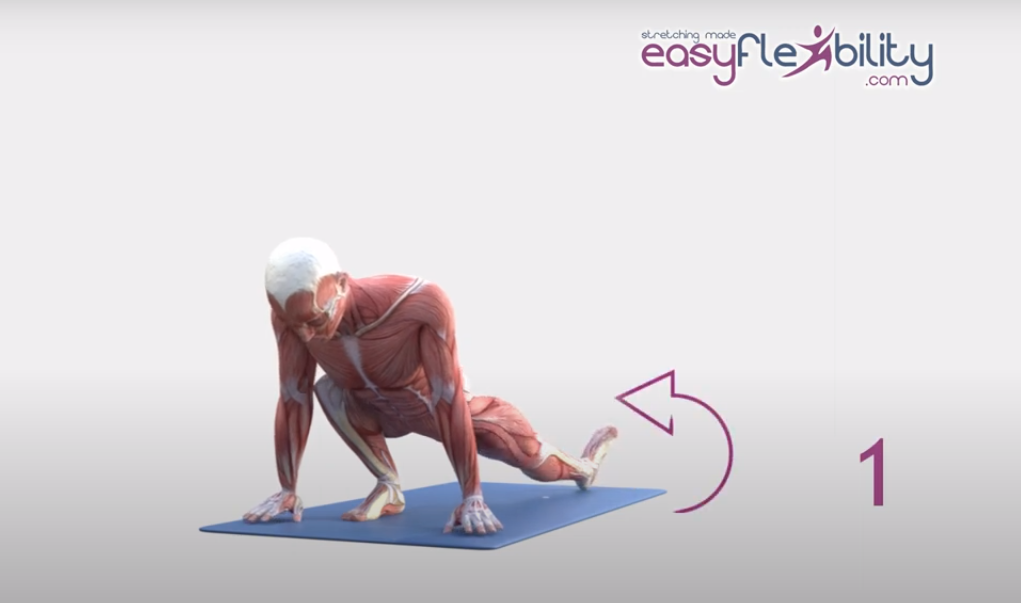 animated anatomical picture in lunge position with extended leg moving the foot