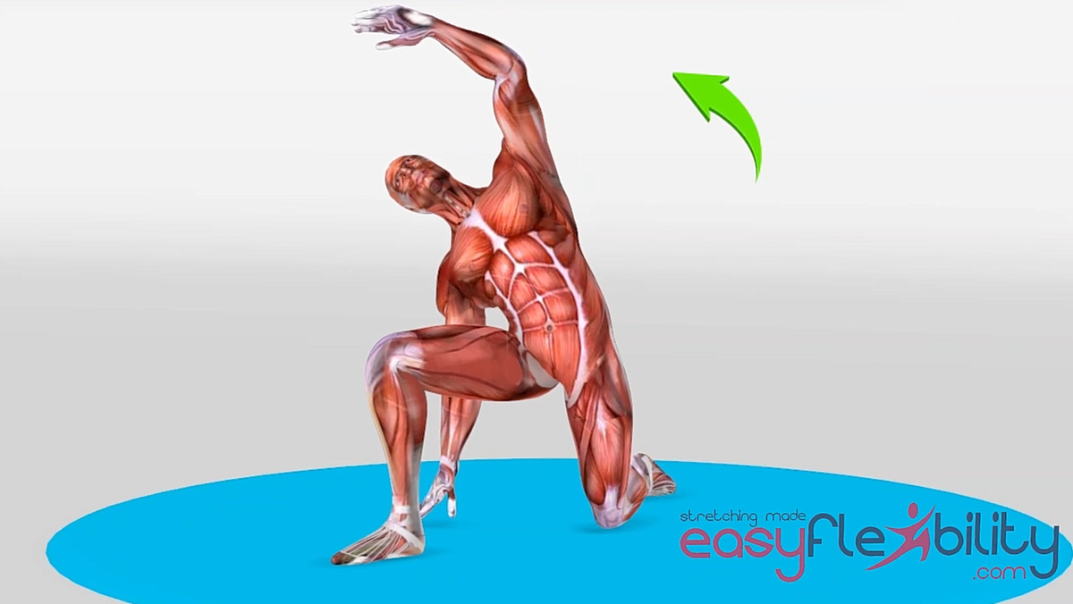Psoas Stretch demonstrated by a Muscle Animation Figure 1200 x 628
