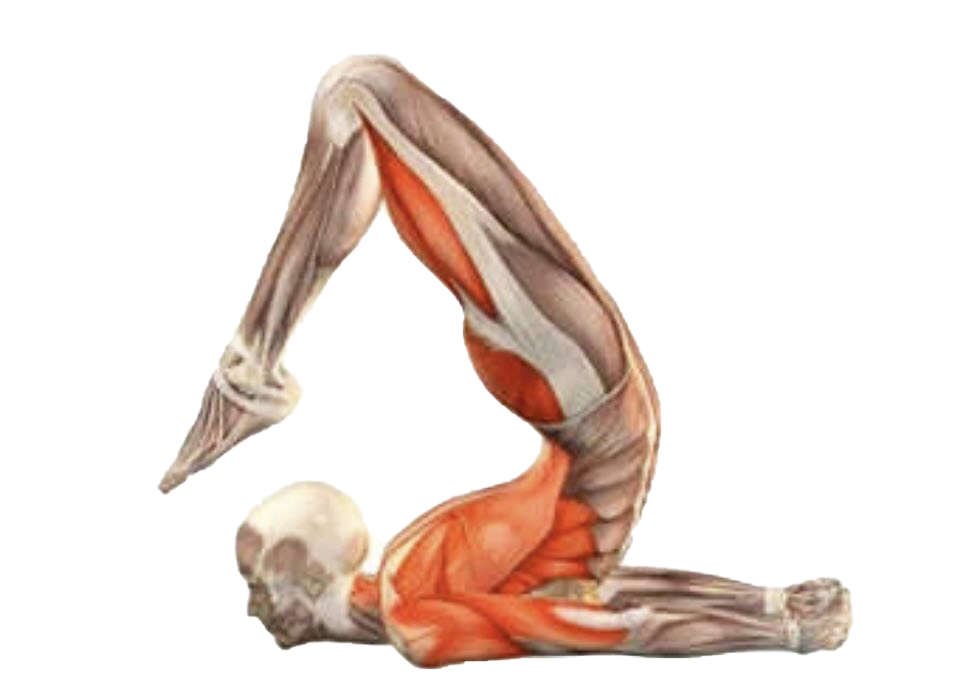 yoga - What is this exercise/pose called? - Physical Fitness Stack Exchange