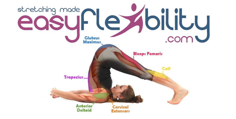 The Incredible 10 Benefits of Halasana ( plow pose) - HIMALAYA YOGA TEACHER  TRAINING : r/YogaWorkouts