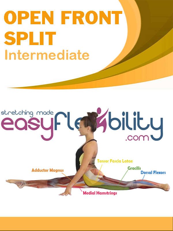 Side Split or Front Split: Which is Easier? – EasyFlexibility –  EasyFlexibility
