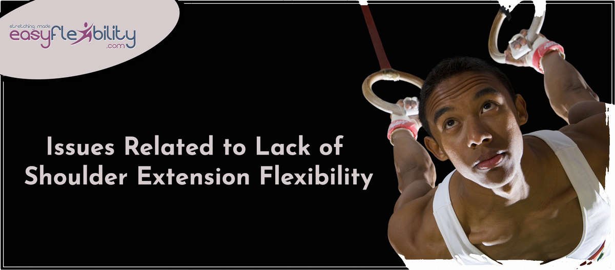 w1200 caa7 hombros 3 Easyflexibility – Shoulders Combo – Flexion + Extension - Available now !!