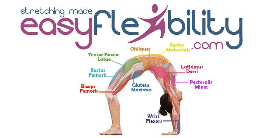 Yoga Workshop Wednesday - Wheel Pose - Physical Therapy Portland