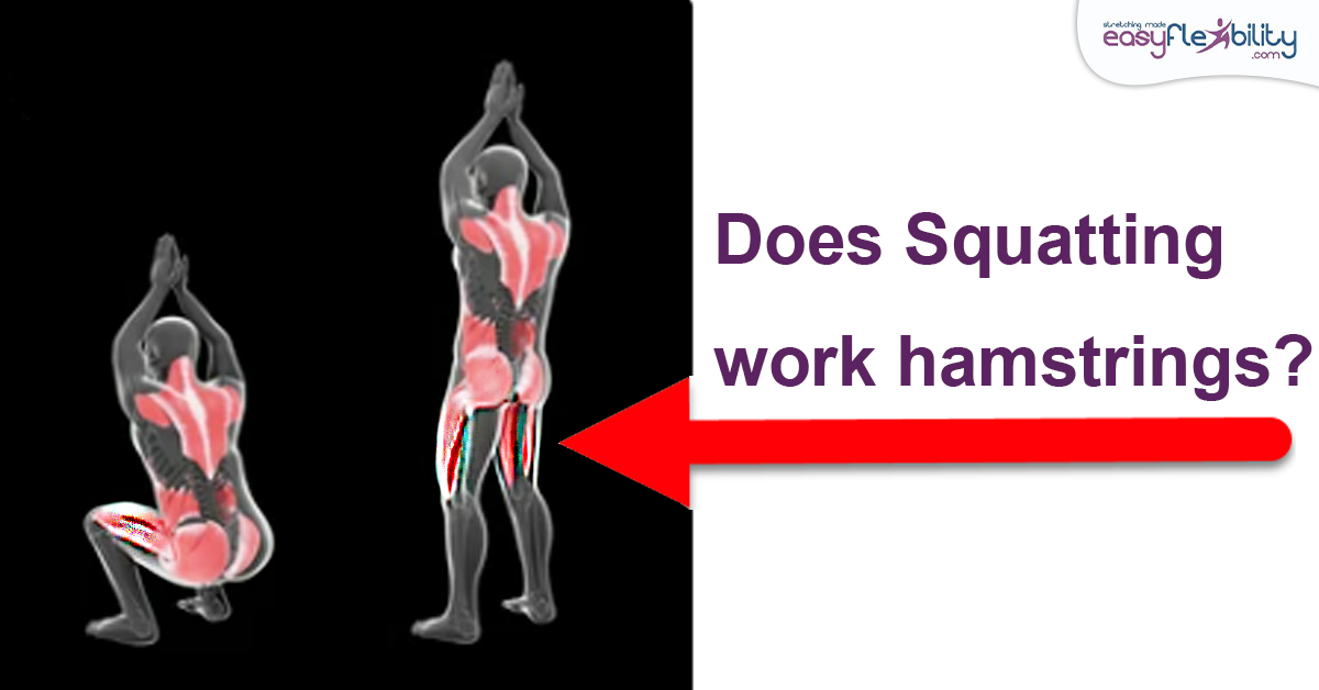 Does squatting work hamstrings EasyFlexibility