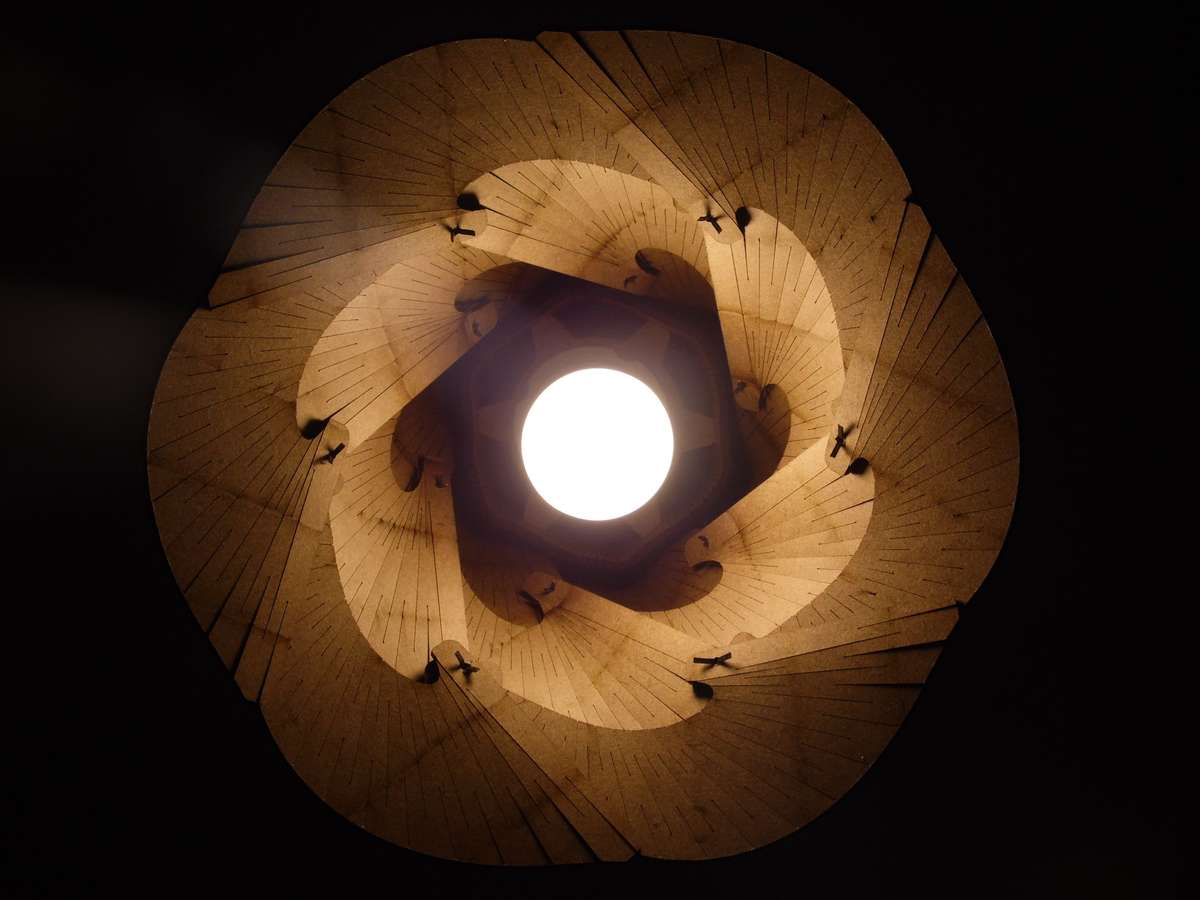 Bloom-Lamp-Aaron-Porterfield-Inferior Bloom-Lamp-Aaron-Porterfield-Inferior