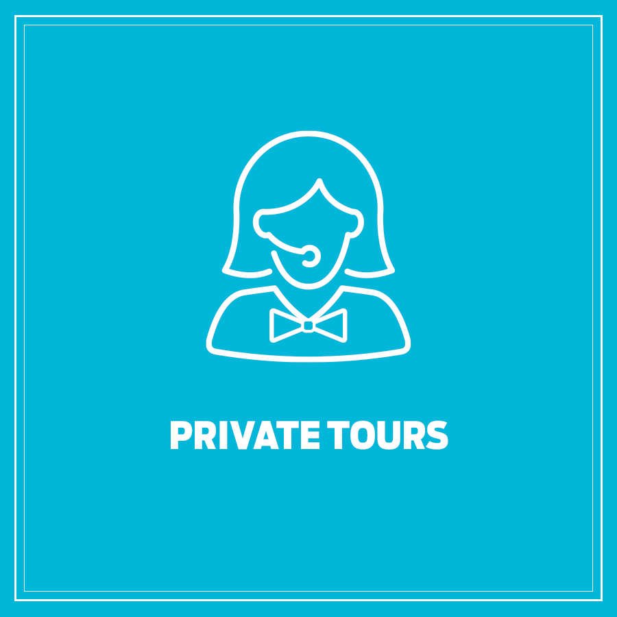 Small Group Private Factory Tours 