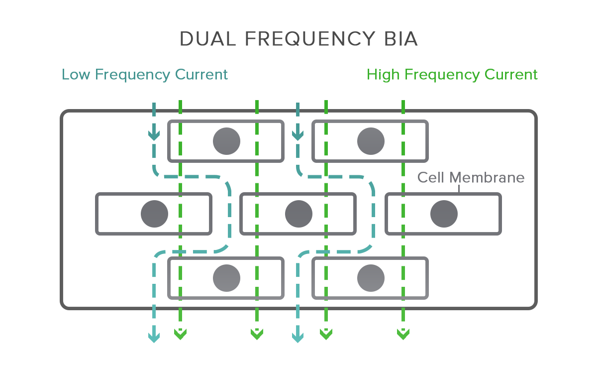 Actofit Dual frequency BIA Technology Actofit Dual frequency BIA Technology