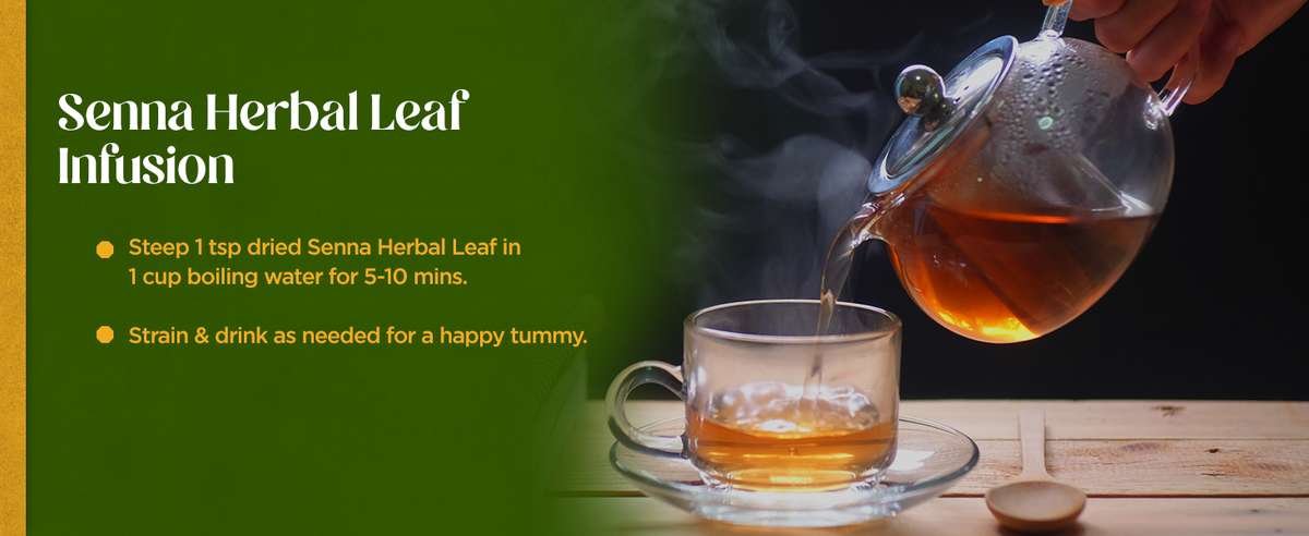 Senna Leaf herbal tea natural laxative detox digestive health cleanse benefits remedies gut health