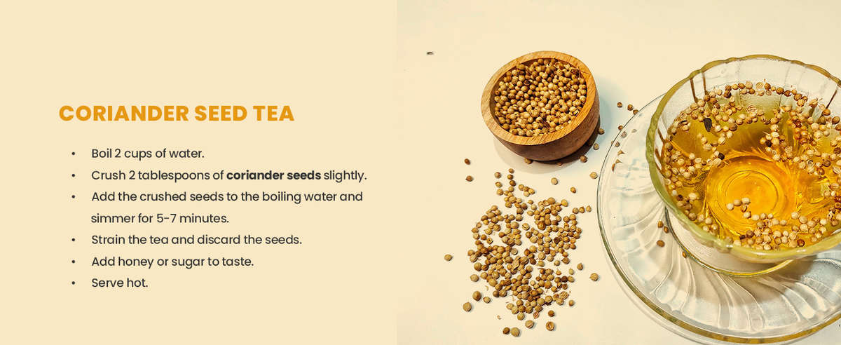 Authentic Coriander Seed Whole Perfect for Steeping Fresh Coriander Seed Tea