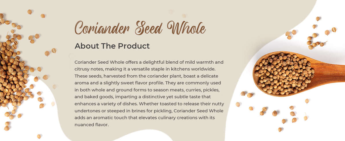 Coriander Seed Whole for Adding Fresh, Aromatic Flavor to Various Culinary Dishes