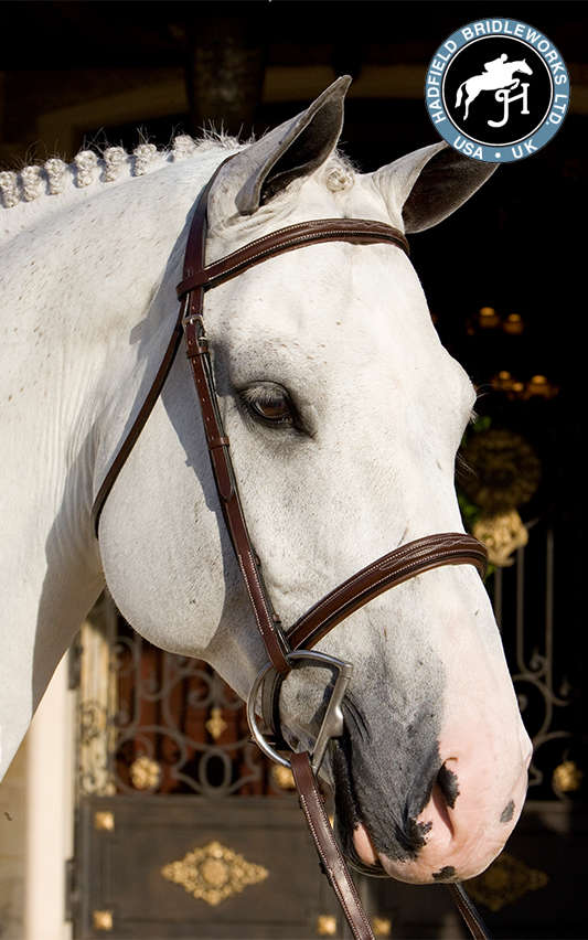 For The Horse C.M. Hadfield's Saddlery Inc.