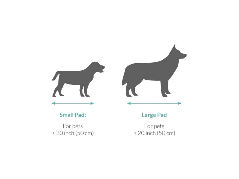 Pets PEMF Pad - NewMed Ltd