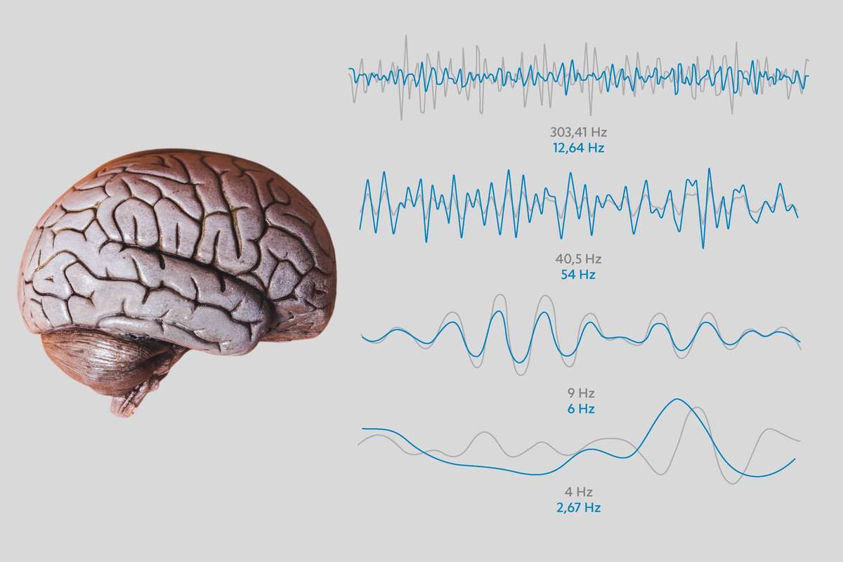 PEMF Frequencies and the Brain