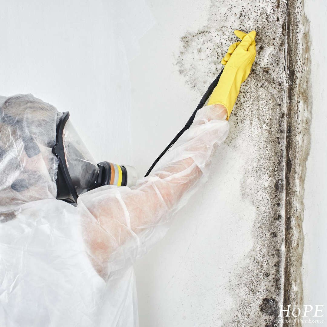 How to Control Airborne Mould