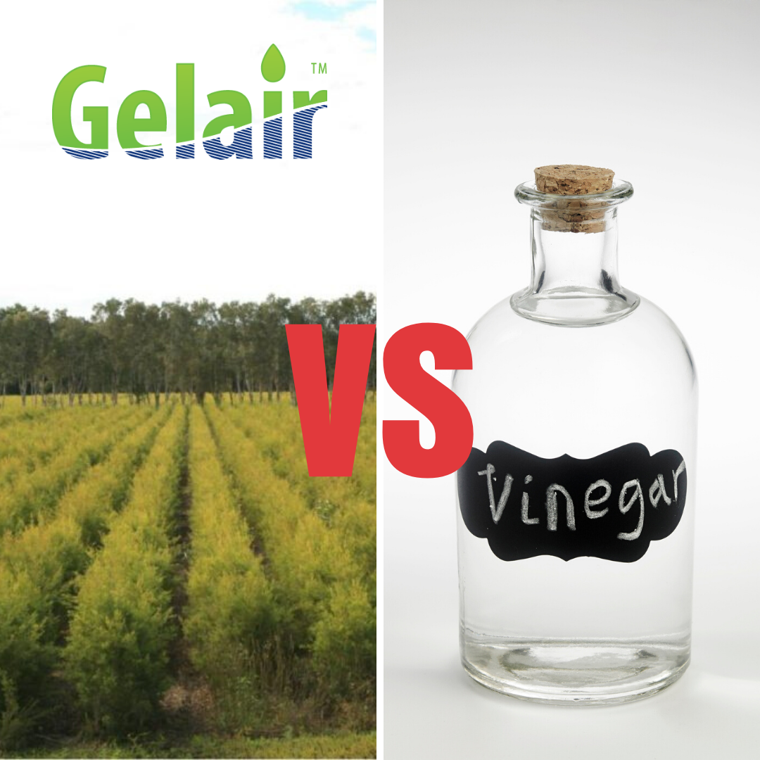 Gelair vs Vinegar