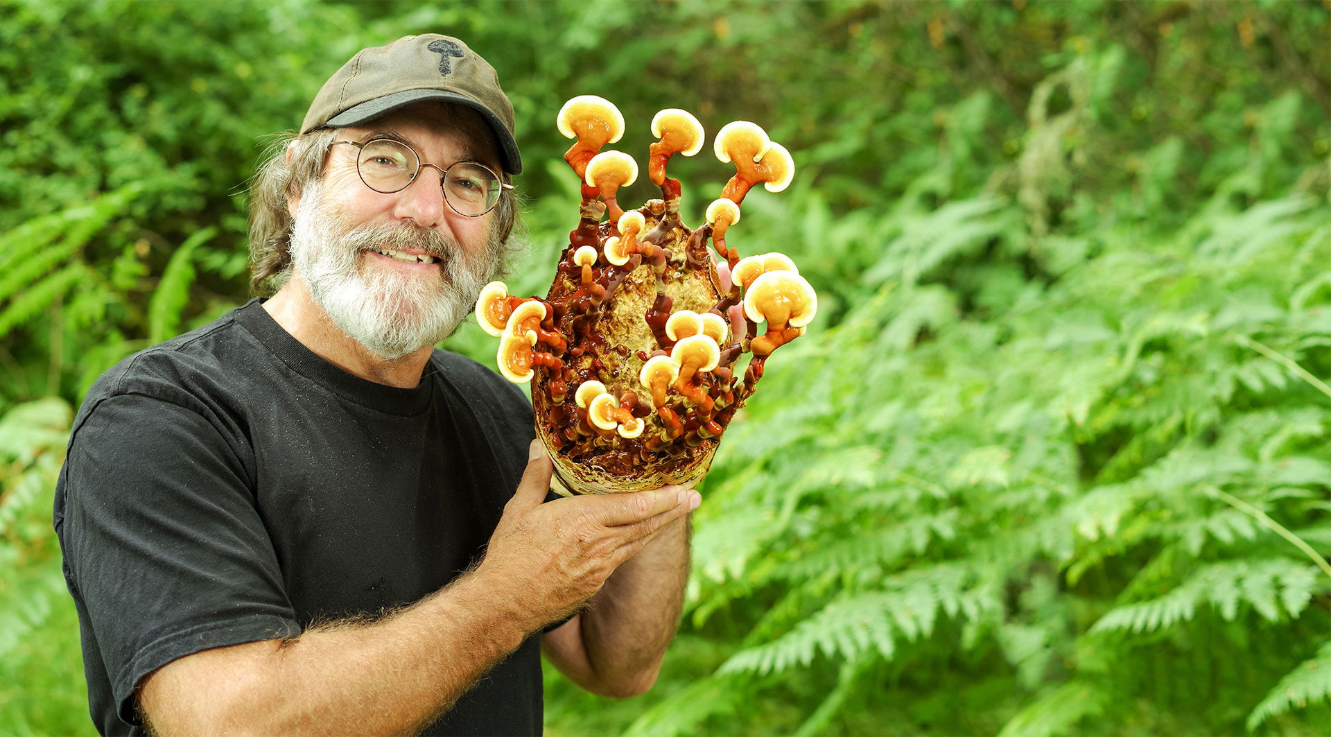 Books By Paul Stamets — Fungi Perfecti