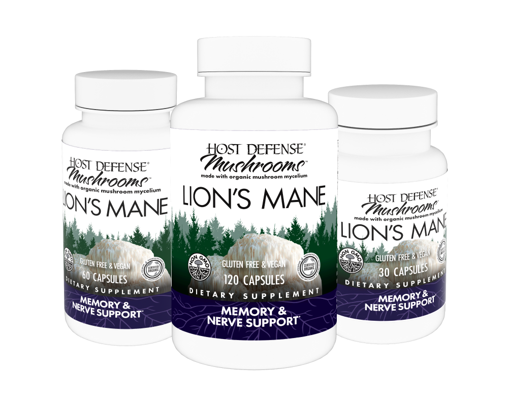 Buy Lion's Mane Mushroom Capsules for Memory & Nerve Support* Buy Lion's Mane Mushroom Capsules for Memory & Nerve Support*