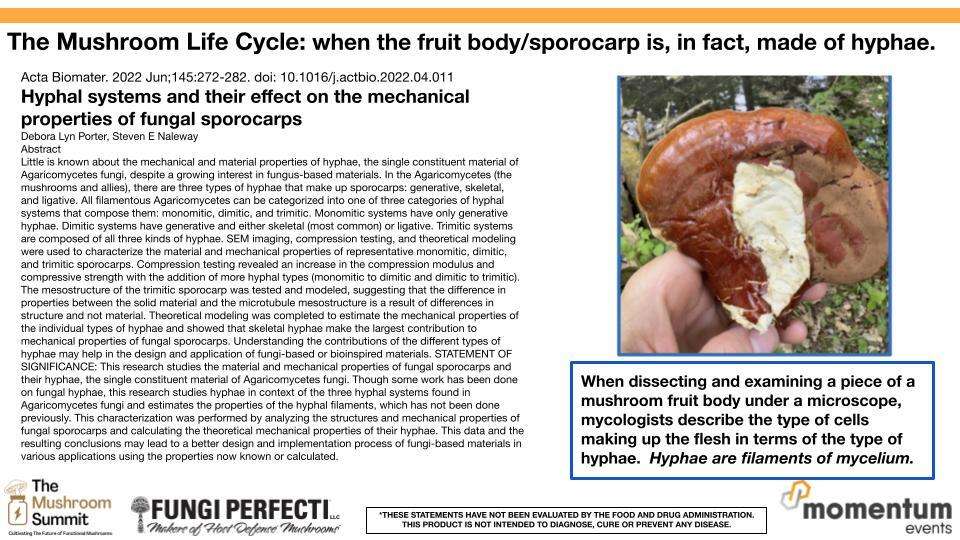 The Mushroom Life Cycle