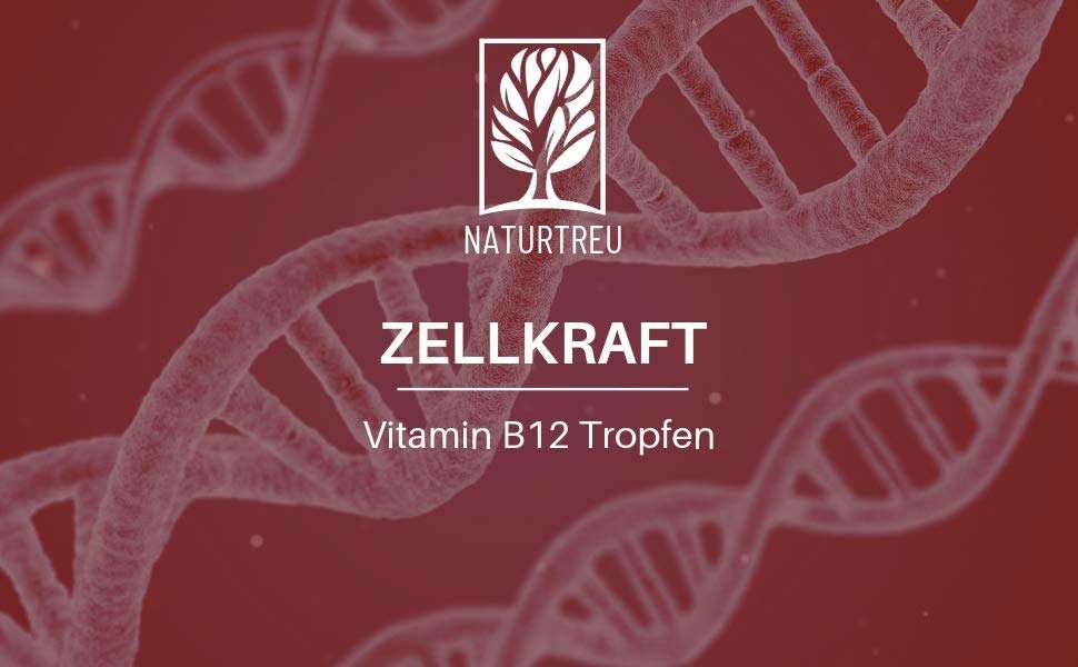 Vitamin B12 tropfen Vegan Vitamin B12 tropfen Vegan