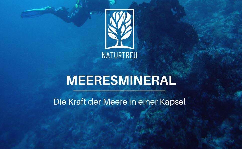 Sango Coralle kaufen Sango Coralle kaufen