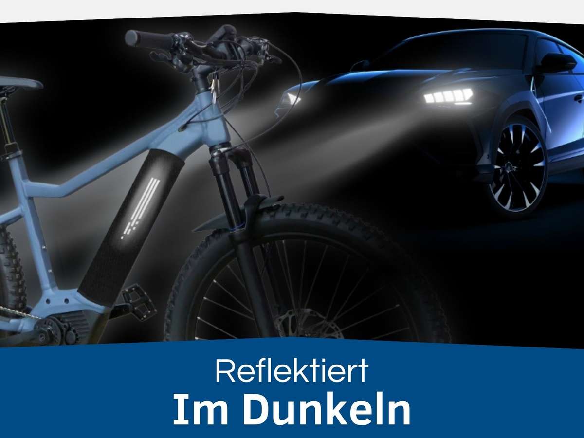 akku schutz ebike