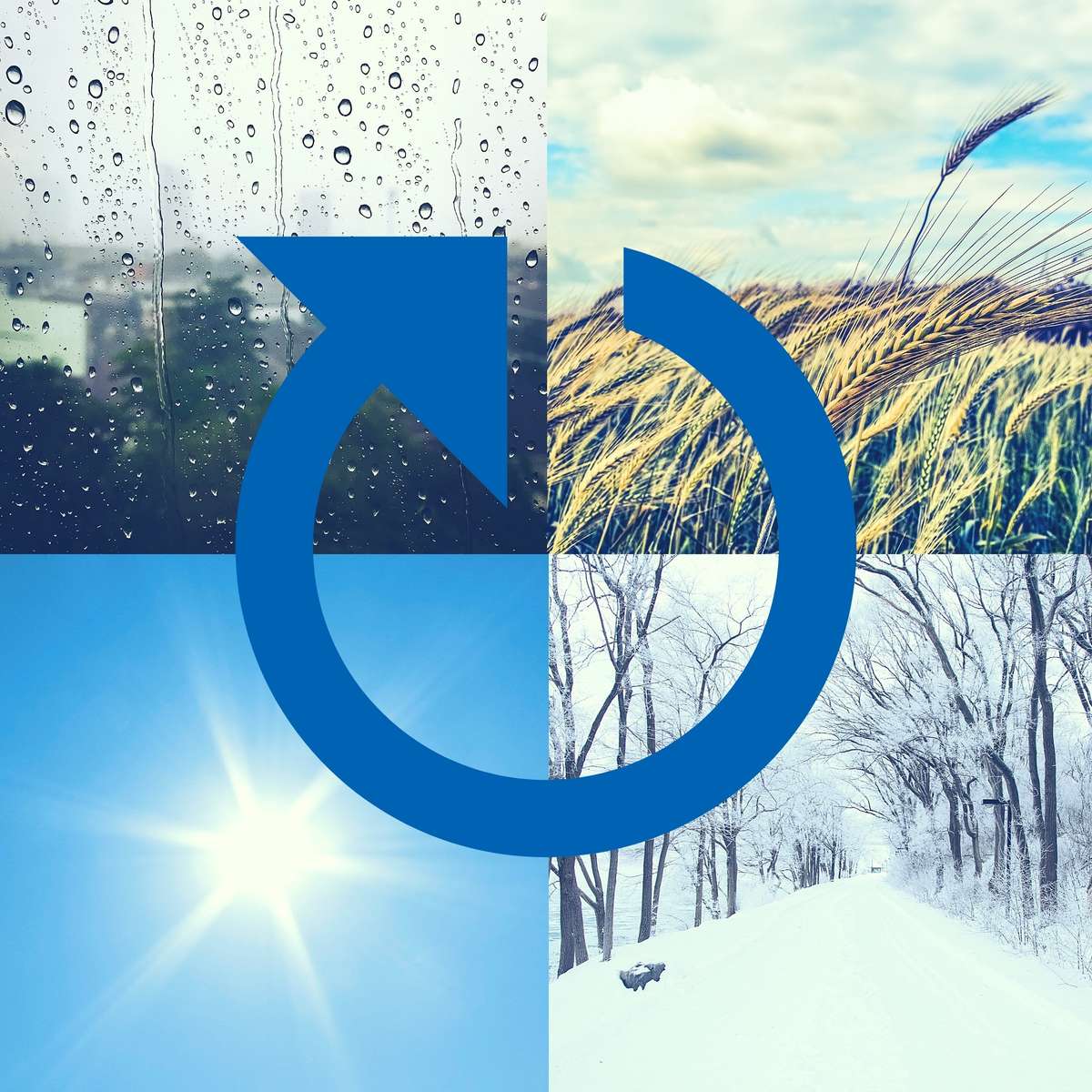 Ein optimaler Wetterschutz für dein Fahrrad zeichnet sich durch robustheit und Wasserdichtheit aus. Ein optimaler Wetterschutz für dein Fahrrad zeichnet sich durch robustheit und Wasserdichtheit aus.
