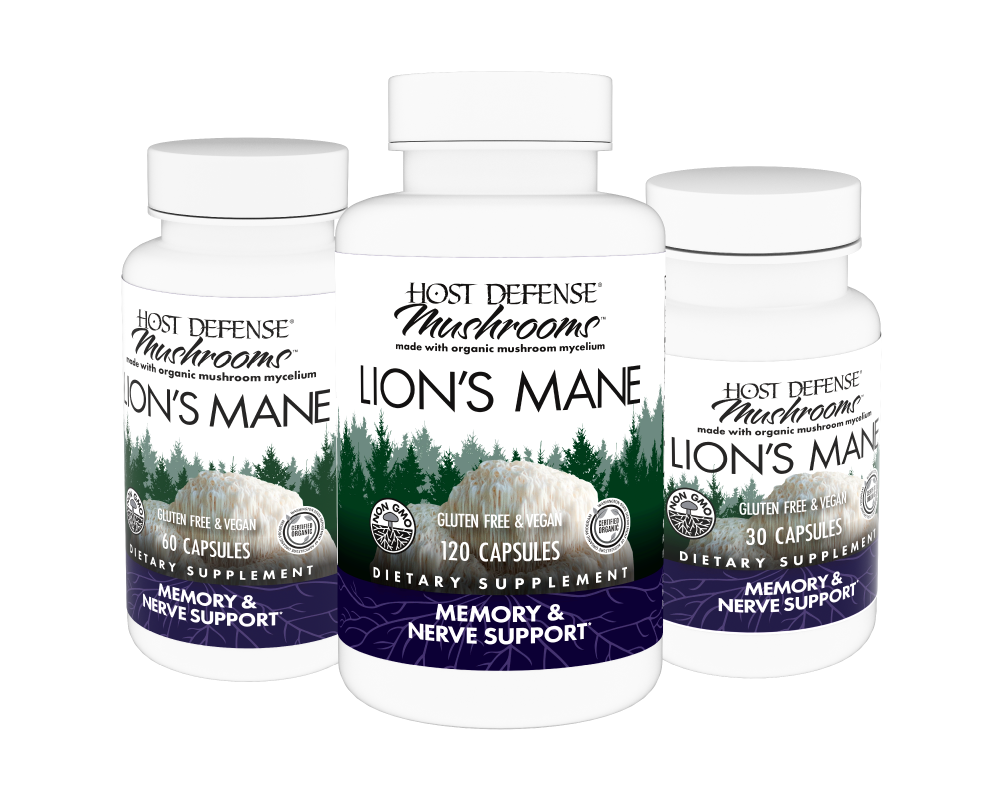 Buy Lion's Mane Mushroom Capsules for Memory & Nerve Support*