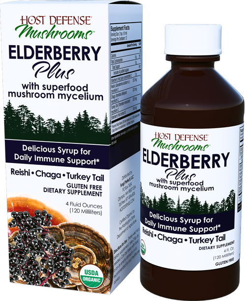 Buy Elderberry Plus Syrup for daily immune support 4 oz