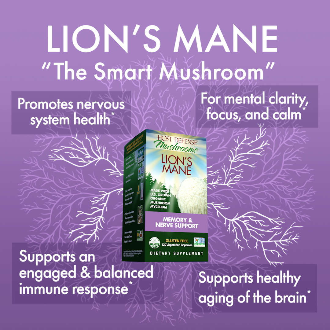 Lion's Mane - The "Smart Mushroom"