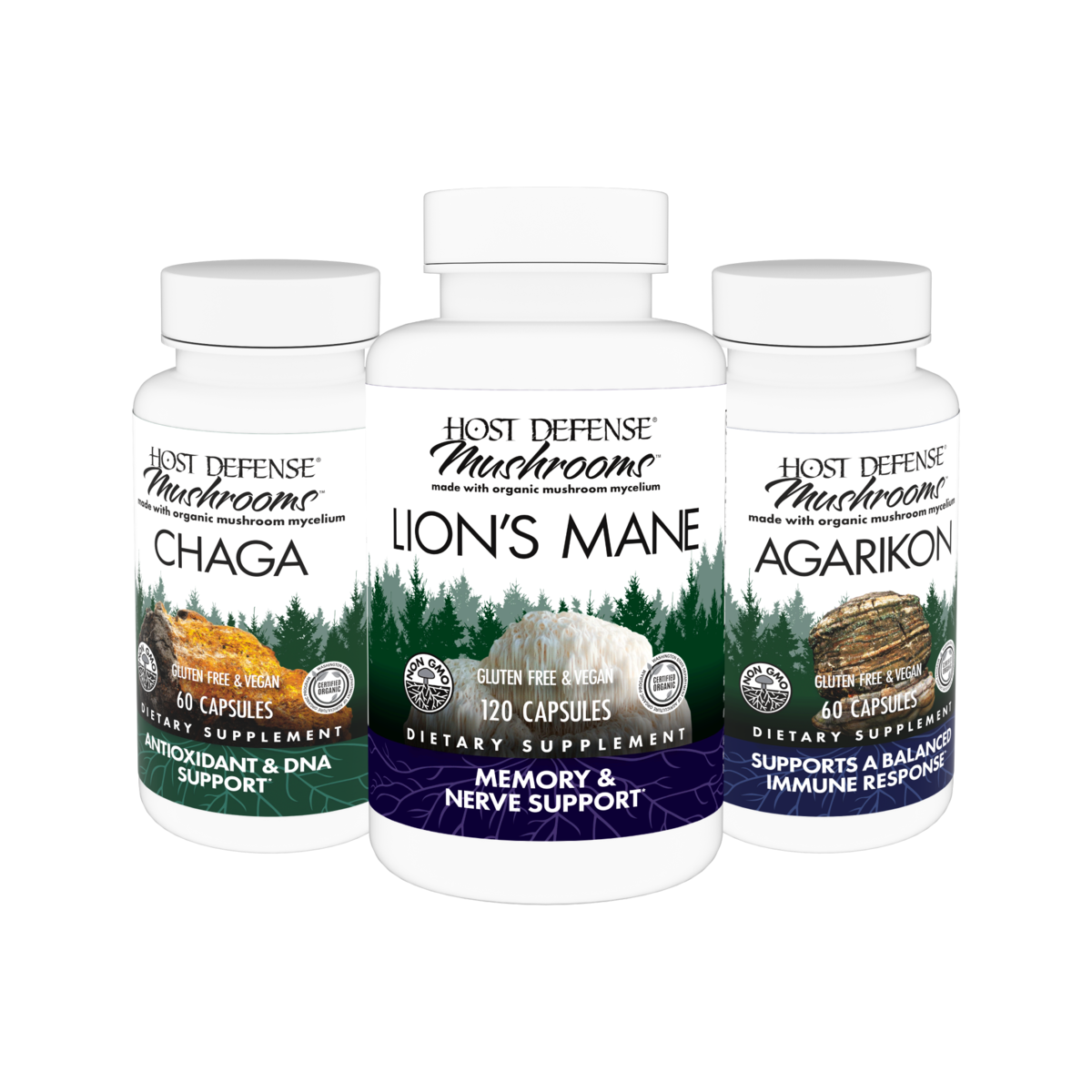 Mushroom Products and Supplements