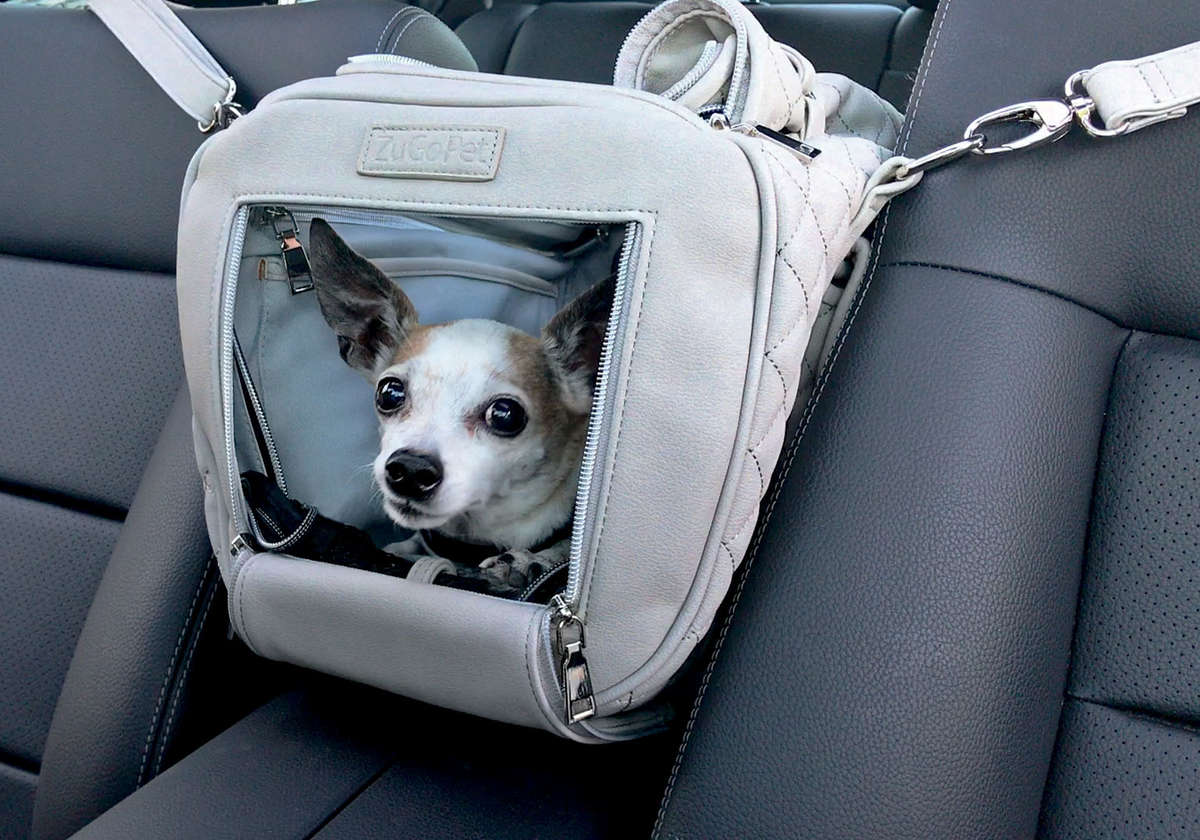 dog car seat