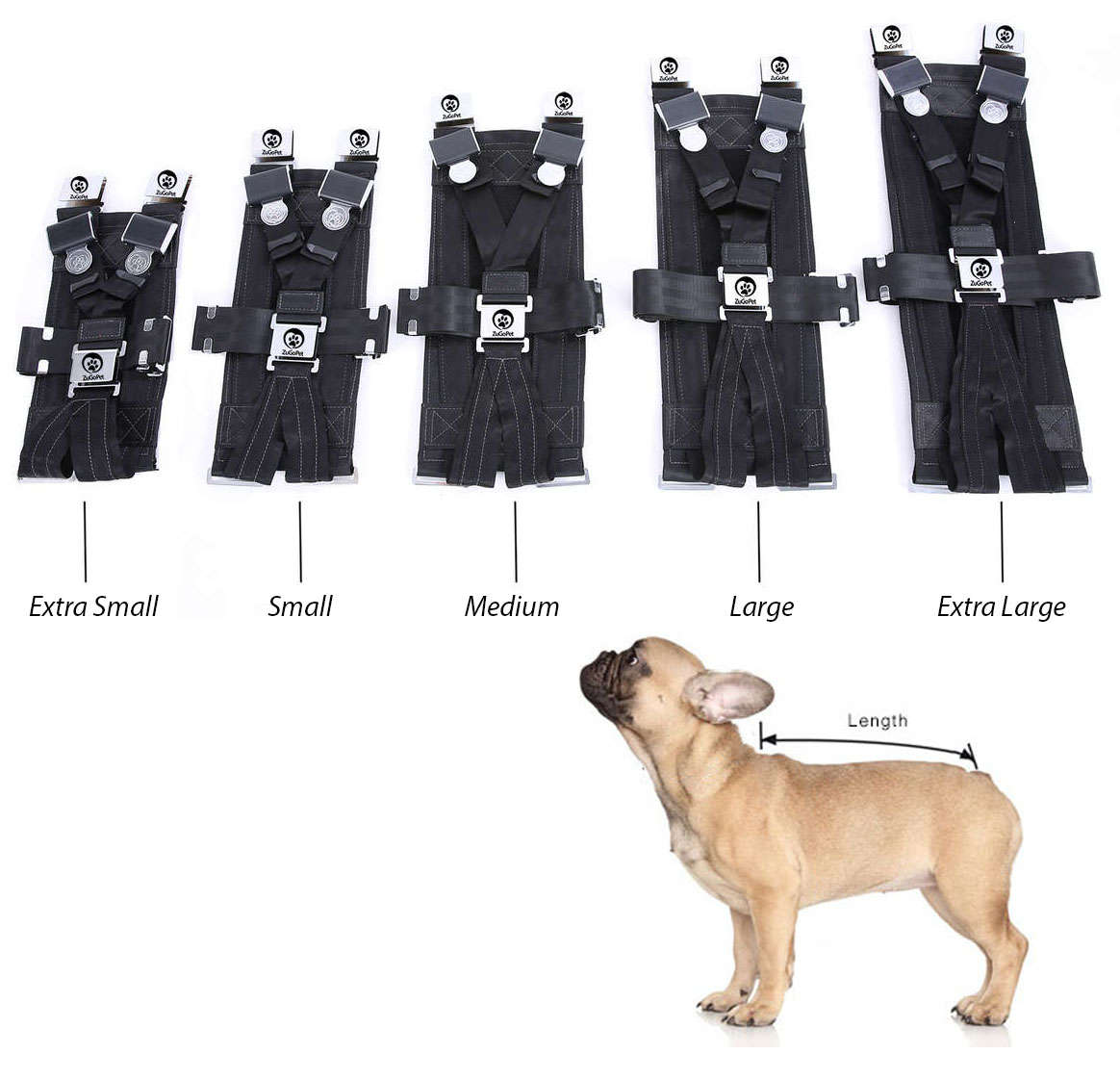 The Rocketeer Pack Multifunctional Harness zugopet