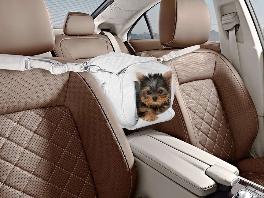 small dog car seat